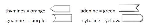 Most cells grow, perform the activities needed to survive, and divide. Dna Coloring Biology Libretexts