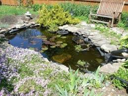 See more ideas about mini pond, miniature fairy gardens, fairy garden. Diy Water Gardens Designing A Backyard Water Garden