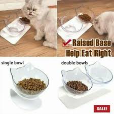 Placing a cat's dish in the corner of a room may put her both on edge and on guard. Food Dish Tilted Transparent Pet Feeder Cats Bowl Cat Ears Shaped Slow Eating Us Ebay