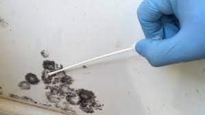 Mold Testing By Using The Swab Method By Using Cross Necklace