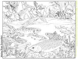The fisherman in the river has caught a big fish. Adding Some Color To The Chaos Trout Unlimited