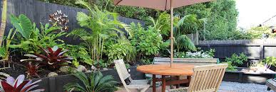 Light shade, an area with five to 10 hours of direct sun, such as a woodland's. Tips And Tricks For Planting In A Shaded Garden Zones