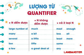 LƯỢNG TỪ - Quantifiers: Phân loại và cách dùng chi tiết