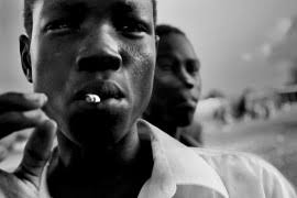 Pinceladas del planeta