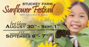 Stuckey Farm Market