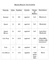 Manual Muscle Testing Chart Muscle Testing Training Course