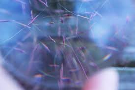 Because of that, cleanliness in space is of utmost importance. Home Aether Transmutations
