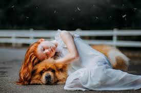 To start off, below are some of the top general cute pet names. Girl Dog Names That Start With B Giggle Pets