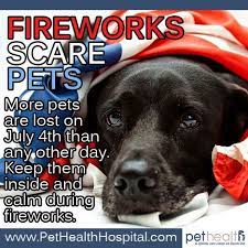 Fireworks Scare Pets Taking Some Simple Precautions To Prevent Your Pet From Running Away Can Make The Holiday More Enjoyable For Y Pets Fireworks I Love Dogs