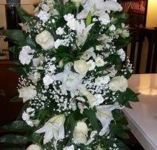 Maybe you would like to learn more about one of these? Sympathy Flowers Lucile S Flowers Gifts