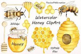 Watercolor Honey Clipart Watercolor Bee Clip Art Digital Clipart Png Handpainted Clipart Diy For Personal And Commercial Use Clip Art Bee Art Bee