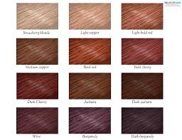 copper hair color chart find your perfect hair style