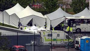 Delta chile region del maule Gtff8pz7hfnegm