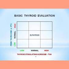 Maybe you would like to learn more about one of these? Thyroid The Nine Dr Ifthi S Unani Herbal Hospital Facebook