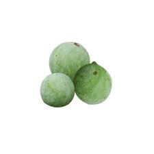 Image result for Nageia nagi