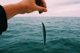 When selecting the right saltwater vs freshwater fishing rods for your angling adventures, you should first consider the fishing techniques you plan to use. Freshwater Fishing Vs Saltwater Fishing 10 Major Factors