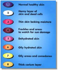 90 electric cord for convenient use. Colors Of Fluorescence On The Face Esthetics Dehydrated Skin Wood Lamps