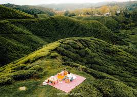 Maybe you would like to learn more about one of these? Cameron Highlands Tea Plantations Trails Malaysia