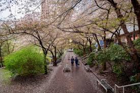 Art Phillips Park: a small space in a pivotal location