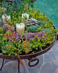 Tolle Gartenideen Gartnerideen Gartenideen Gartnerideen Tolle Sukkulenten Pflanzen Sukkulenten Diy Garten