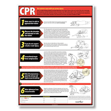 Hd Wallpapers Printable Cpr Chart Qld Wallpaper