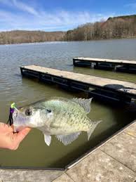 That is not to say that you cannot have your own size limit. Dnr Fish Wildlife Crappie Fishing