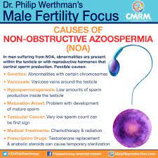 Azoospermia Maleinfertility Help Is Available Male Fertility Fertility Doctor Male Infertility