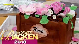 Blumentopf 3d Torte Aufgabe Das Grosse Backen 2018 Sat 1 Tv Youtube Das Grosse Backen 3d Torten Backen