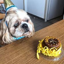 Merci Snoopy Et Caroline Pour Cette Photo Et Vos Gentils Mots Je Tenais A Vous Remercier Pour La Qualite Et Le Professionnalisme Dont Vous Avez Dogs Animals