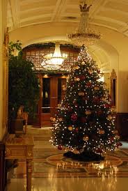 Christmas In Naples Italy Christmas Tree Collection Christmas Christmas Lights