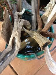 Check spelling or type a new query. Dyeing Wood 9 Steps With Pictures Instructables