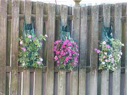 Impatiens In Al S Flower Pouch World Birds Garden And Yard Vertical Garden