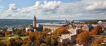 Then look no further, for kathmanducraze.com has got them all! Publications De Vlaminck Lab