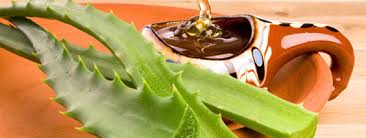 маска для волос из коньяка яйца и меда отзывы Maski Dlya Volos S Aloe I Medom Polza I Recepty