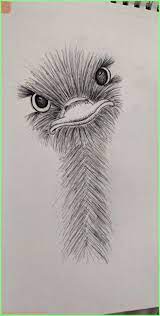 Voir plus d'idées sur le thème autruches, dessin autruche, peinture. Art Sketches Tumblr Little Ostrich Friend Art Animalart Drawing Sketch Artsketchesdoodles Artsketcheseasystepbyste Dessin Autruche Dessin Art Dessin