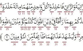 (surah houd, ayat 114) at this a man asked: Tajwid Surat An Nur Ayat 2 Cute766