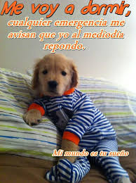 1000 imagenes, frases y gifs para desearle las buenas noches a esa persona especial para este 2021. Frases Graciosas De Buenas Noches Indigena