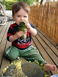Family Of Toddler Who Died After Being Left In Hot Car Reveal Parents Recently Moved To The Town Daily Mail Online