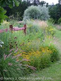 Grasses, with their red and gold fall colors, become the focal point in autumn and well into the winter. 120 Grass Gardens Ideas In 2021 Grass Plants Ornamental Grasses