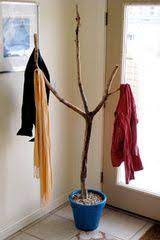 Turn A Fallen Branch Into A Coat Rack Diy Coat Rack Branch Decor Diy Branches Decor