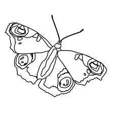 Kostenlose Malvorlagen Window Color Fensterbilder Zum Download Mandalas Zum Ausmalen Malvorlagen Kostenlose Malvorlagen