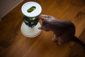 Limited ingredient diets (lid) are popular with pet owners who are concerned with too many artificial ingredients in their. Hunting For The Best Dry Wet Food For Indoor Cats 18 Popular Options