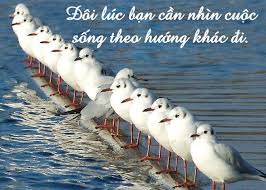 Káº¿t quáº£ hÃ¬nh áº£nh cho hinh anh dep khi ban biet cho di