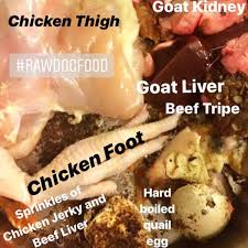 What are treatment options for pancreatitis in pets? What You Need To Know Before Feeding A Raw Dog Food Diet