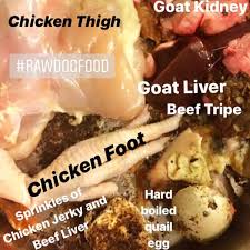 Uncontrolled blood sugar and high blood pressure cause damage to blood vessels in the kidneys, reducing their ability to function optimally (4). What You Need To Know Before Feeding A Raw Dog Food Diet