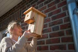 Nistkasten selber bauen vogelhaus selber bauen nistkasten aufhängen nistkasten bauanleitung dekorative vogelhäuser. Perfekter Nistkasten Fur Die Blaumeise