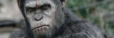 10 Best Monkeys In Movies Twin monkey puma & pura. 10 best monkeys in movies