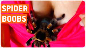 Spider Climbs Around Boobs | Spider-Boob - video Dailymotion