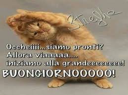 Per dormire non mi piace contare le pecore, posso contare i puffi? Buongiorno Divertenti 120 Immagini Gif E Video Da Condividere A Tutto Donna