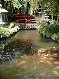 Tropical Garden Monte Palace Madeira Tropische Garten Tropischer Garten Botanischer Garten